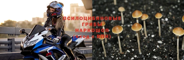 ешки Балахна