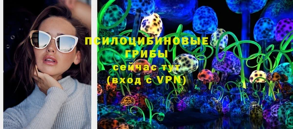 ешки Балахна