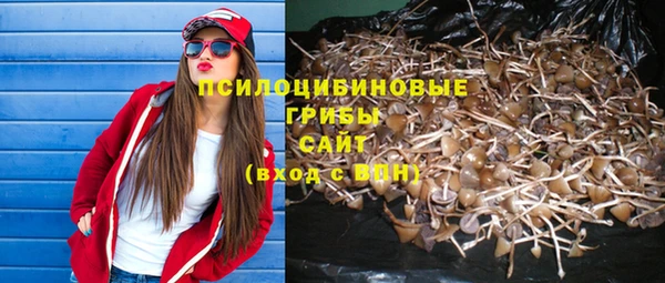 ешки Балахна