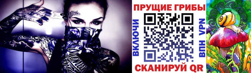 Галлюциногенные грибы MAGIC MUSHROOMS  сайты даркнета какой сайт  Рудня 